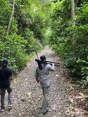 Birding Pipeline Panama