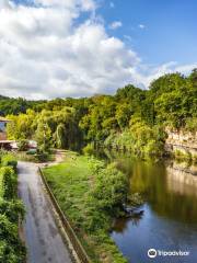 Ophorus Day Trips & Caves Tours in Dordogne