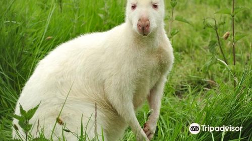 Monk Park Farm Visitor Attraction