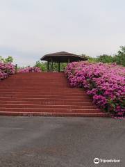 Busshozan Park Heated Pool