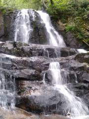 Laurel Falls