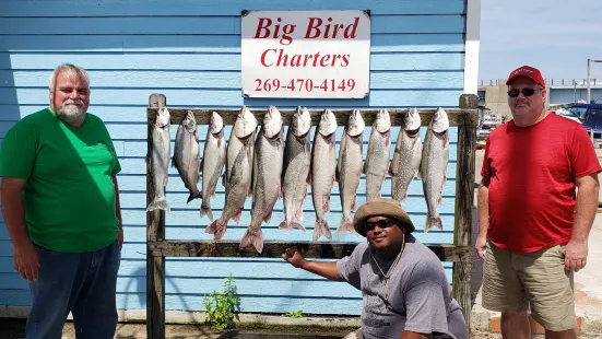 Big Bird Charters