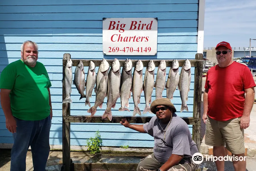 Big Bird Charters