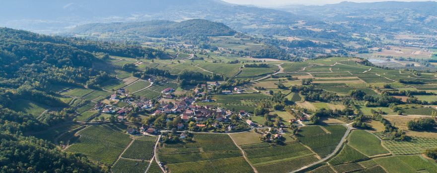 Domaine Eugene Carrel