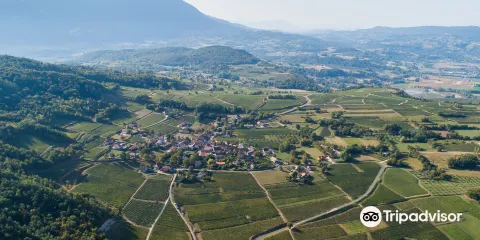 Domaine Eugene Carrel