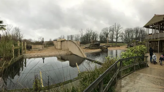 ZOO Planckendael