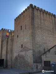 Torres de Medina de Pomar (Torres de los Velasco)