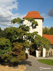 Silesian Ostrava Castle