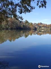 Beaver Lake Bird Sanctuary