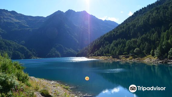 Parco Nazionale Dello Stelvio