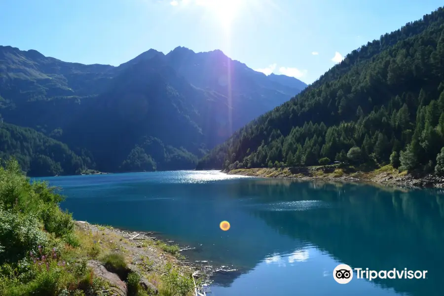 Parco Nazionale Dello Stelvio