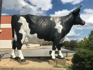 Kadie the Cow