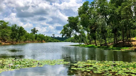 Madhabpur Lake