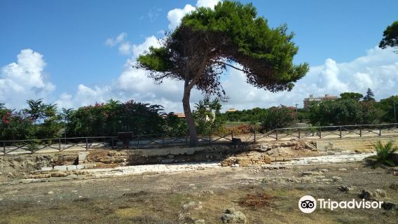 PALM Parco Archeologico di Lilibeo-Marsala