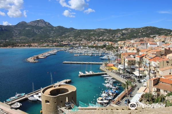 Nice til Calvi ​​fly