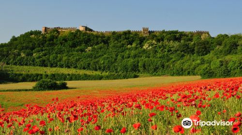 Rocca Visconteo Veneta