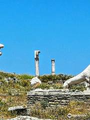 the Archaeological site of Delos