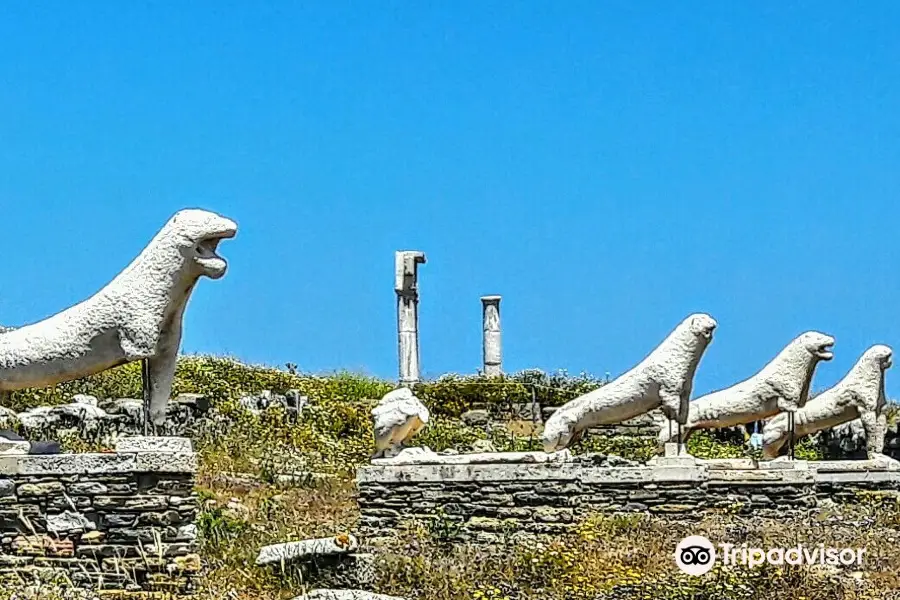 the Archaeological site of Delos