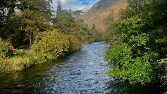 Younger （Benmore） Botanic Garden