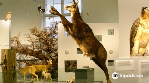 Naturmuseum Winterthur