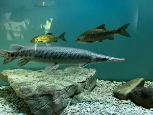 Aquarium Terrarium Krk