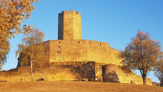 Steinsberg Castle