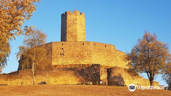 Steinsberg Castle