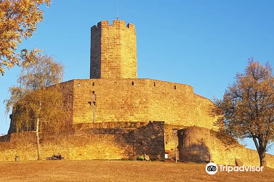 Burg Steinsberg