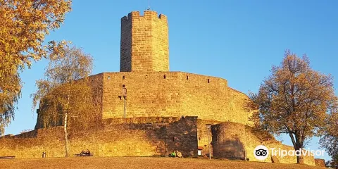 Steinsberg Castle
