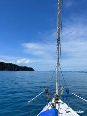 Southern Cross Sailing Adventures