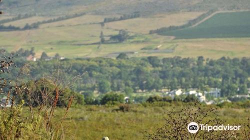 Helderberg Nature Reserve