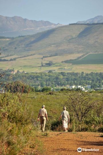 Helderberg Nature Reserve