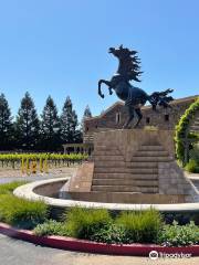 Black Stallion Winery