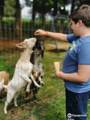 Applebarn Pumpkin Farm (Taves Farms)