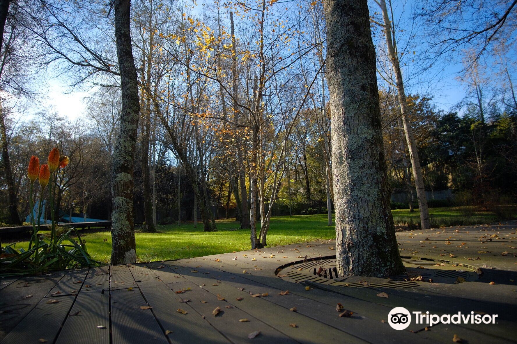 Ribeira do Matadouro Urban Park