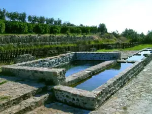 Vasche di Sant'Alessio