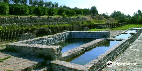 Vasche di Sant'Alessio