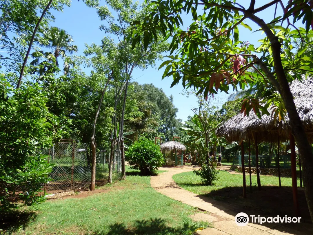 1_Finca Fiesta Campesina
