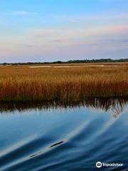 Amelia River Cruises