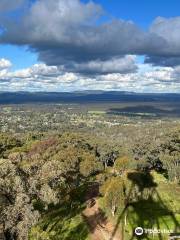 Mount Tarrengower Lookout