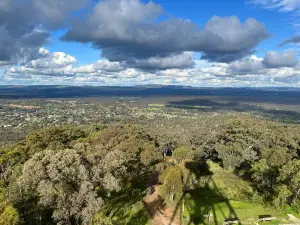 Mount Tarrengower Lookout