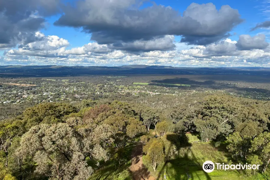 Mount Tarrengower Lookout