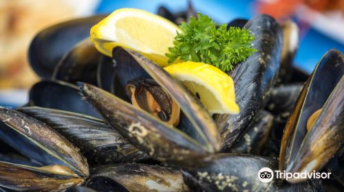 Freycinet Marine Farm