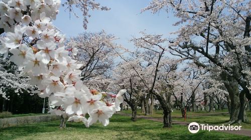 Aobagaoka Park