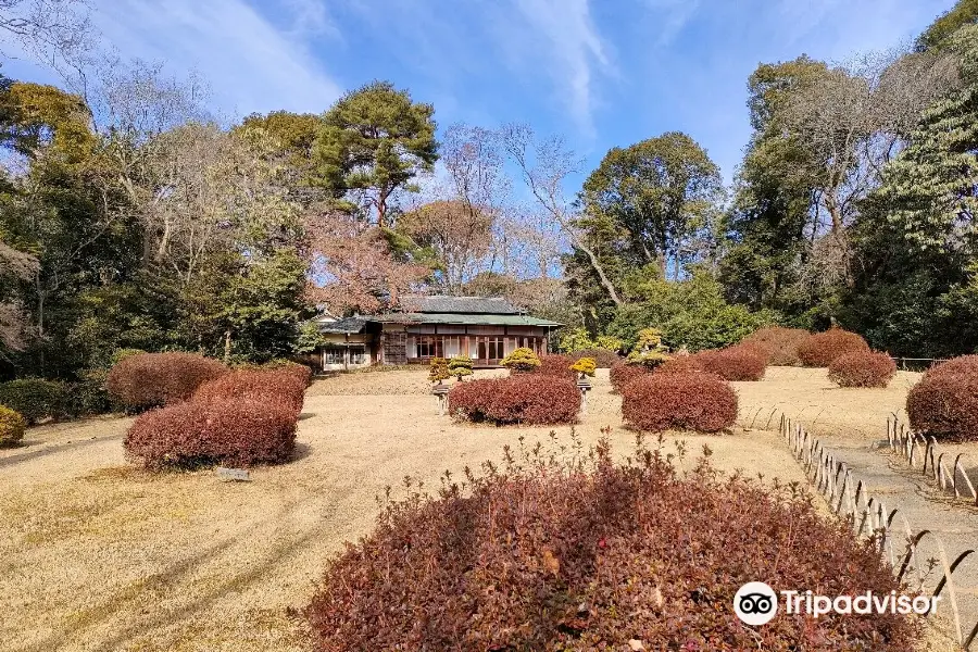 Meiji Jingu Gyoen: gelbes Laub