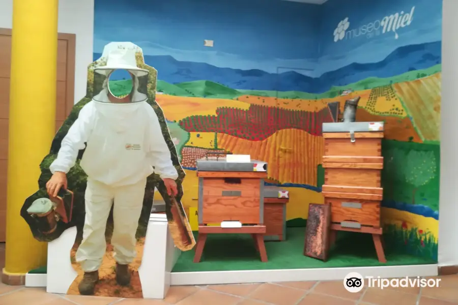 Honey Museum of Malaga