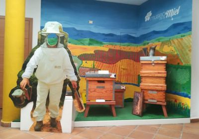 Honey Museum of Malaga