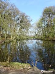 Wandelbos Groenendaal