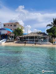 Coral Point Diving