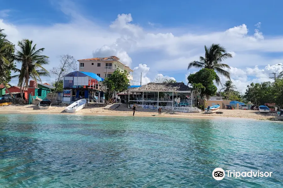 Coral Point Diving